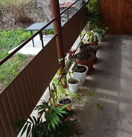 Holiday home Zlatna Matryoshka *
